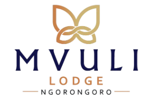 Mvuli Hotels
